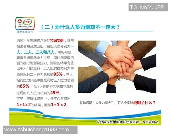 南京羽毛球队团队协作的力量与精神探讨 南京羽毛球队团队协作的力量与精神探讨