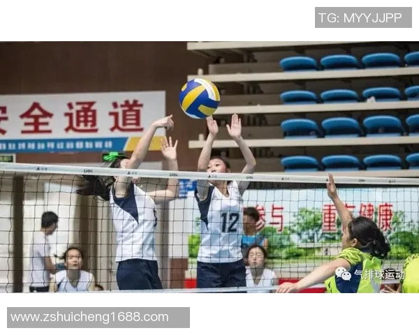 成都排球队的战术控制与技术分析探讨排球热点新视角