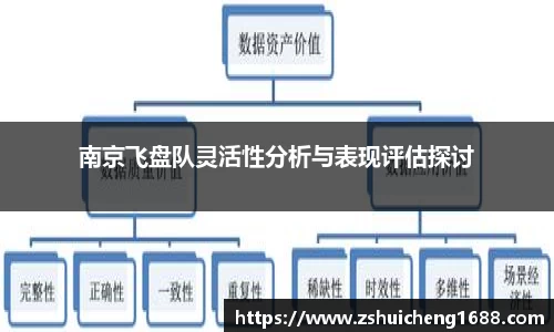 南京飞盘队灵活性分析与表现评估探讨