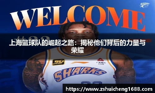 上海篮球队的崛起之路：揭秘他们背后的力量与荣耀