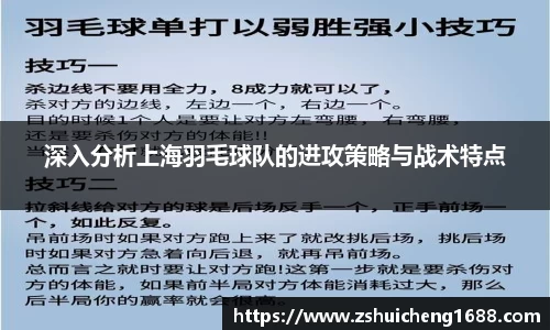 深入分析上海羽毛球队的进攻策略与战术特点