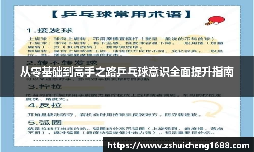 从零基础到高手之路乒乓球意识全面提升指南