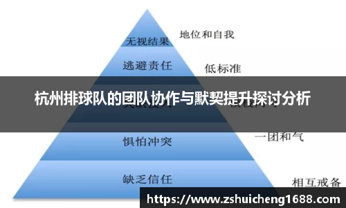 杭州排球队的团队协作与默契提升探讨分析