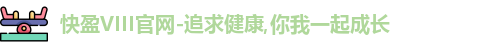快盈VIII